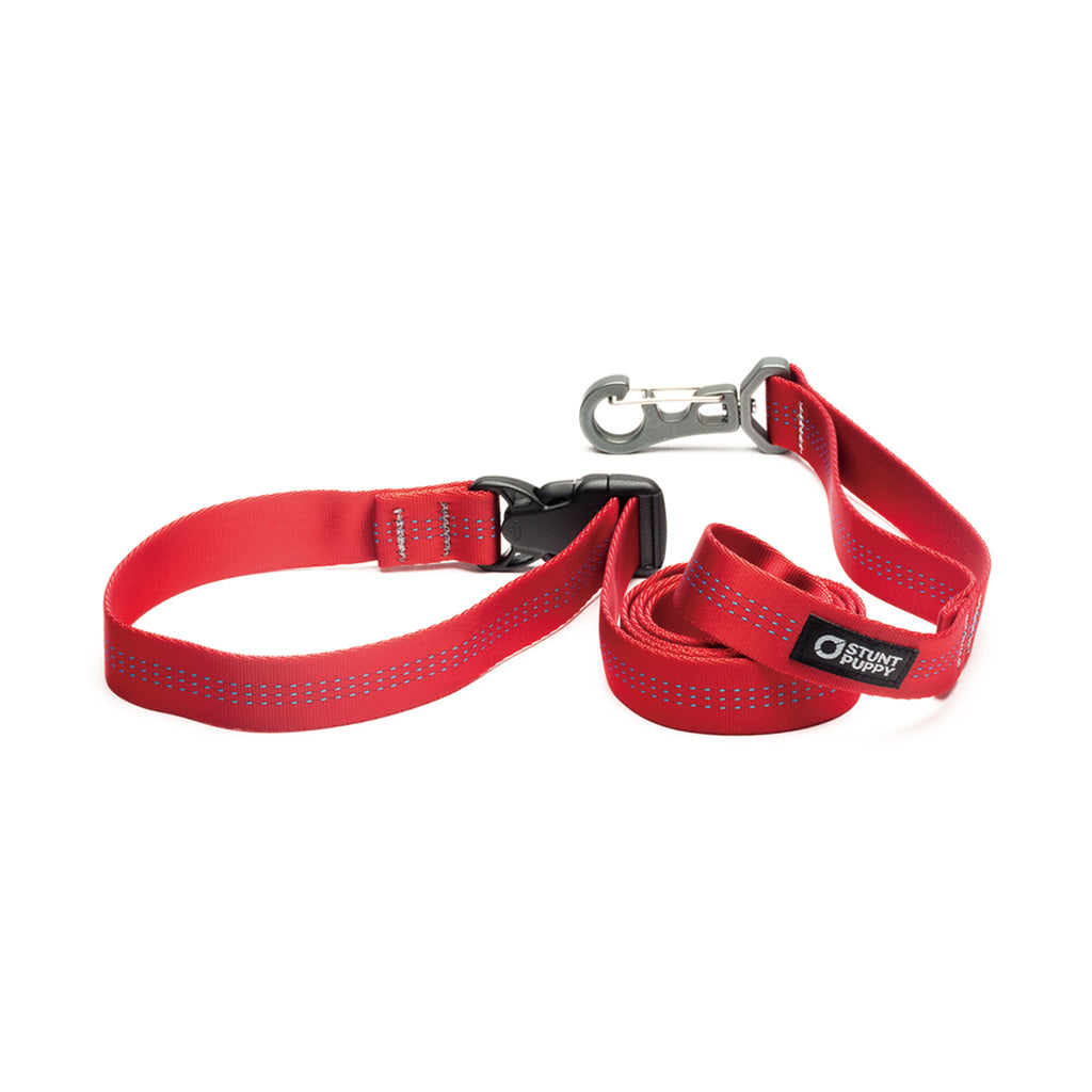 Qmultiペット商品スペイン製 高級犬用リードと首輪セットBaseball Red（小型犬 中型犬）